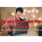 Why Are Urges For Porn So Hard?