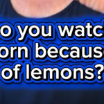 Do you watch porn because of lemons?